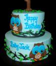 Owl 1st Birthday Cake. Blue buttercream iced, round 2 tiers decorated with owls perched on branches. Everything on this cake is edible. (Serves 28-55 party slices.) 